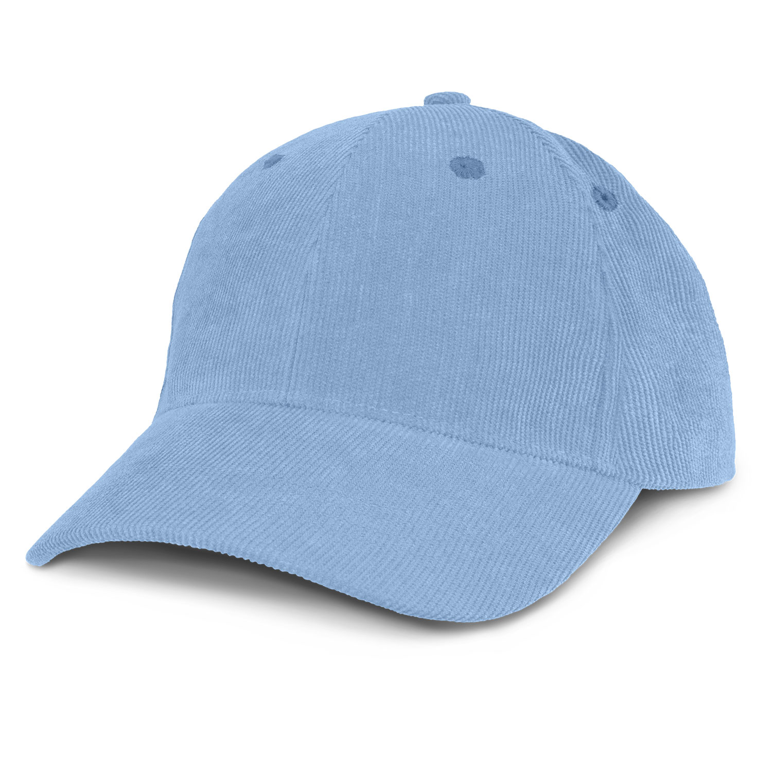【WELLBEING EXPRESS】 Corduroy Cap / 追跡付 Patagonia Corduroy Cap - Spirited Seasons Skyline: Oar Tan